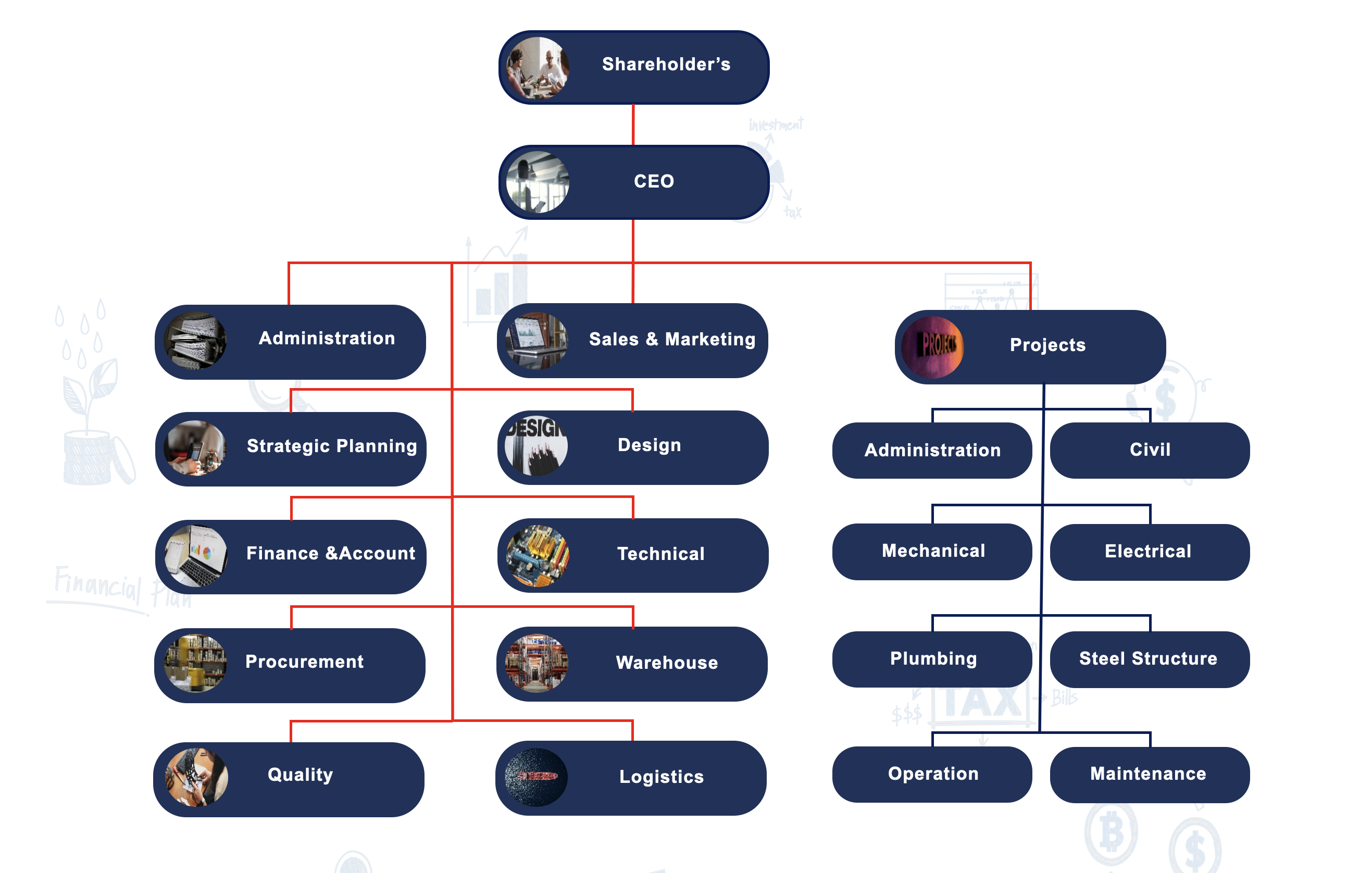 Organization Structure